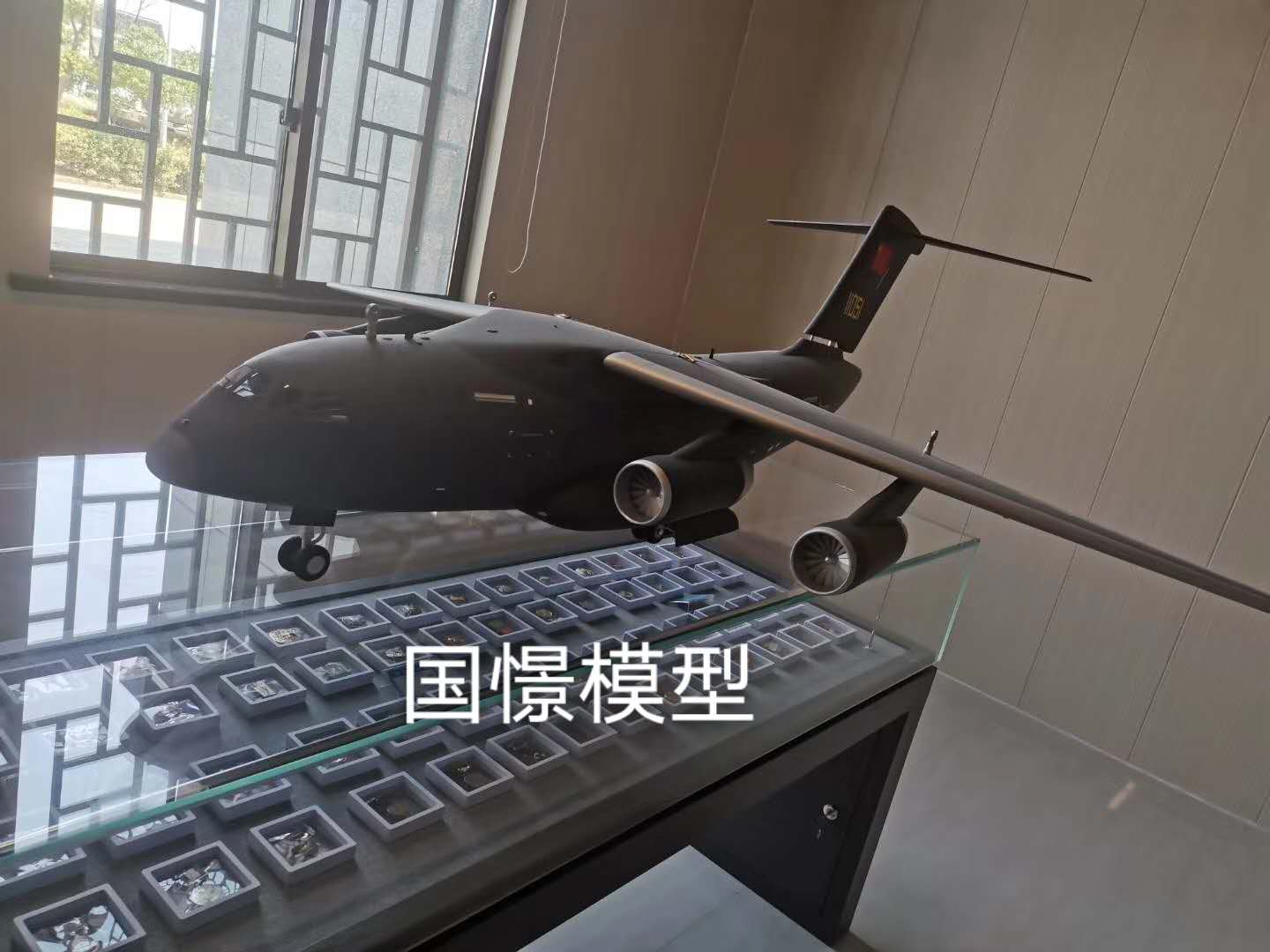 峡江县飞机模型