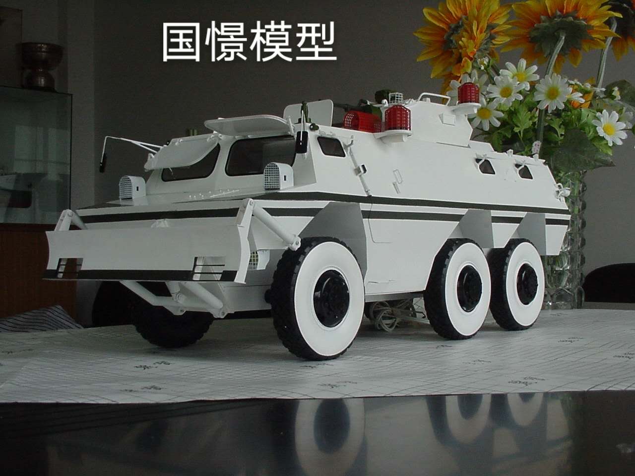 峡江县军事模型