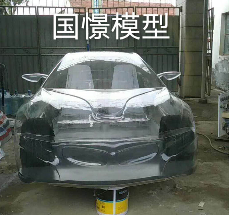 峡江县透明车模型